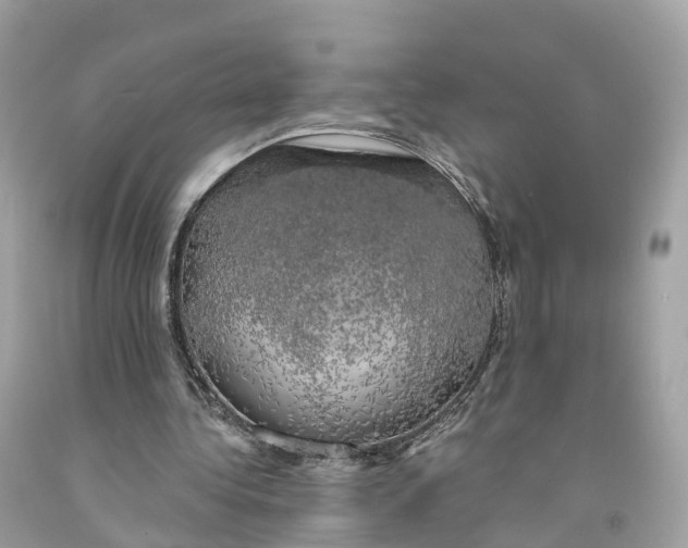 X0000091480340200709061844