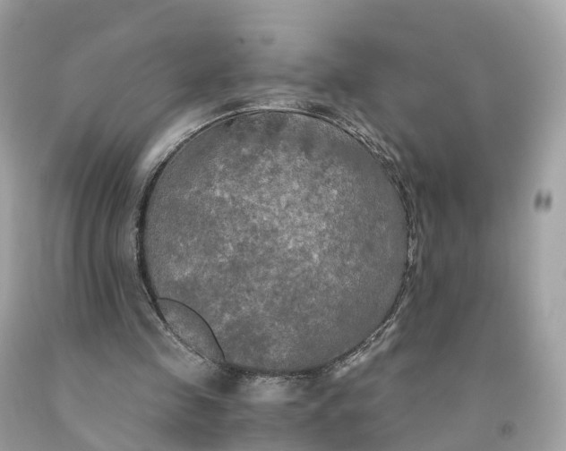 X0000091480341200709061844