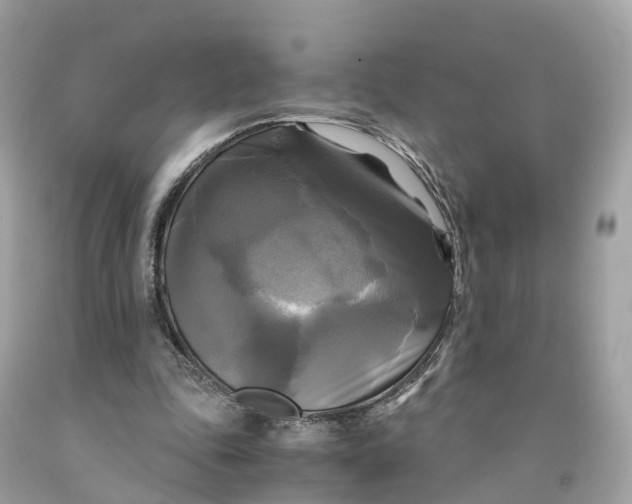 X0000091480343200709061844