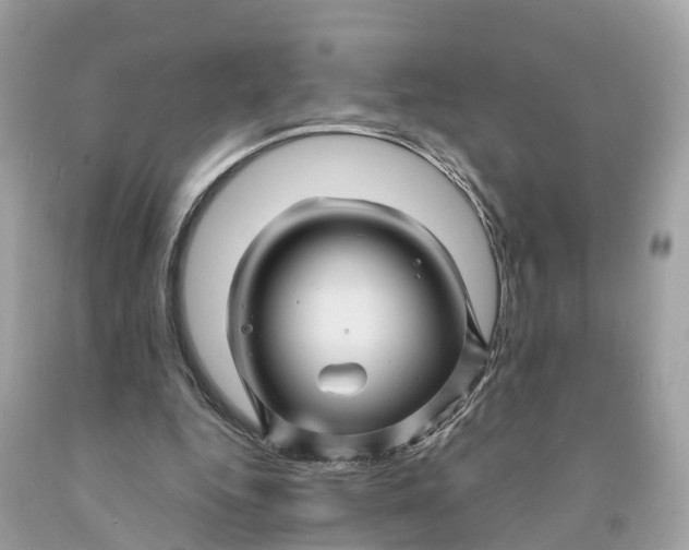 X0000091480344200709061844