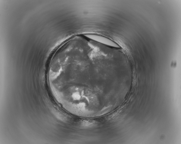 X0000091480346200709061844