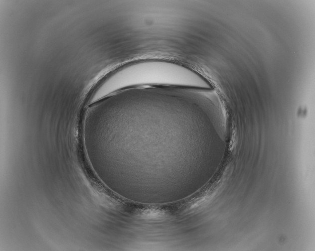 X0000091480348200709061844