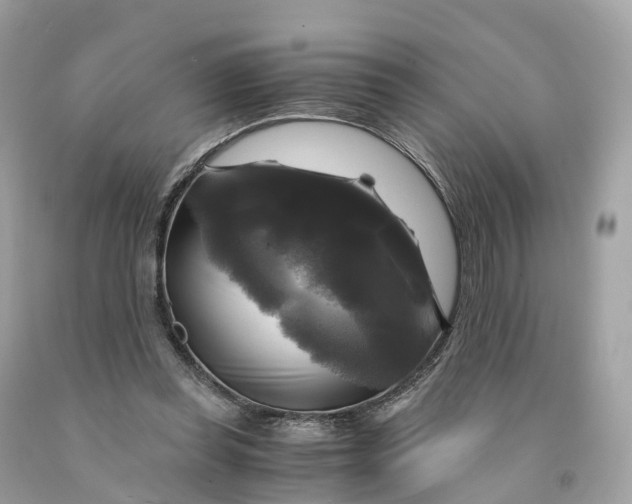 X0000091480349200709061844