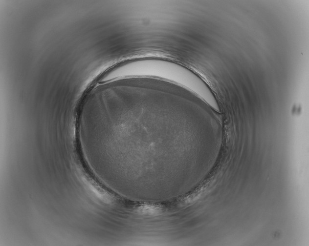 X0000091480350200709061844