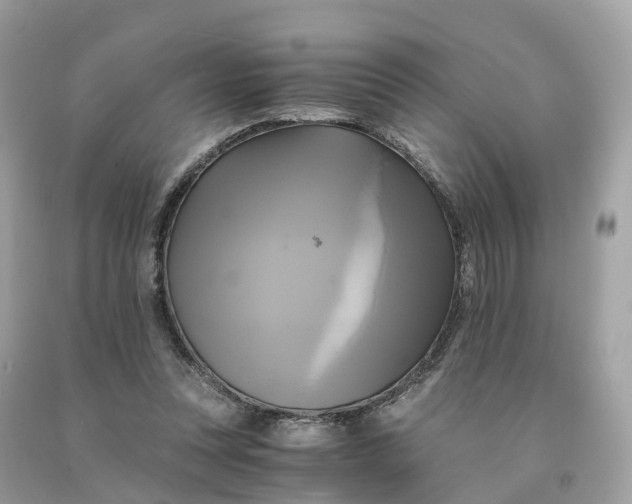 X0000091480351200709061844