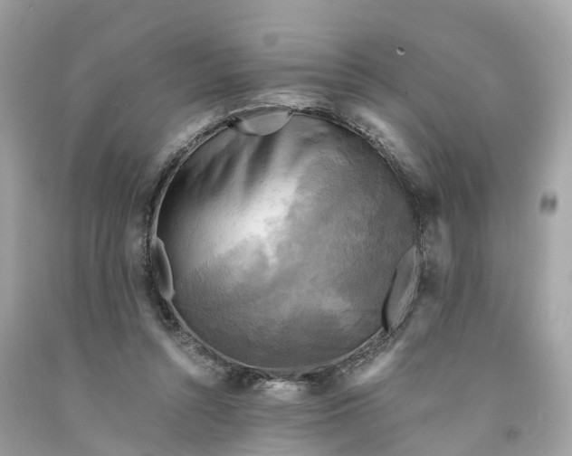 X0000091480352200709061844