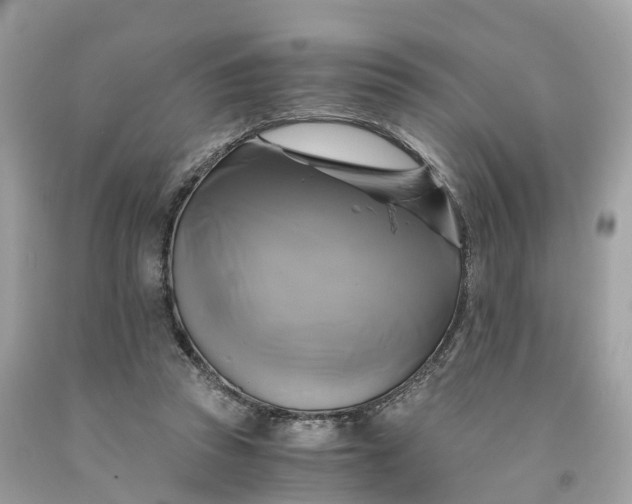 X0000091480353200709061844