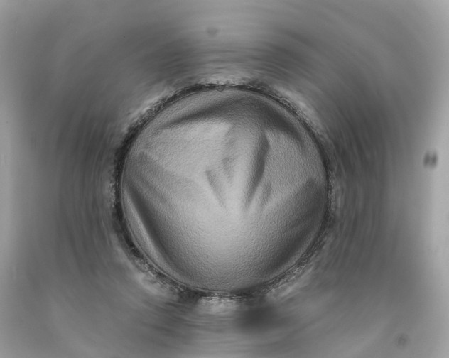 X0000091480354200709061844