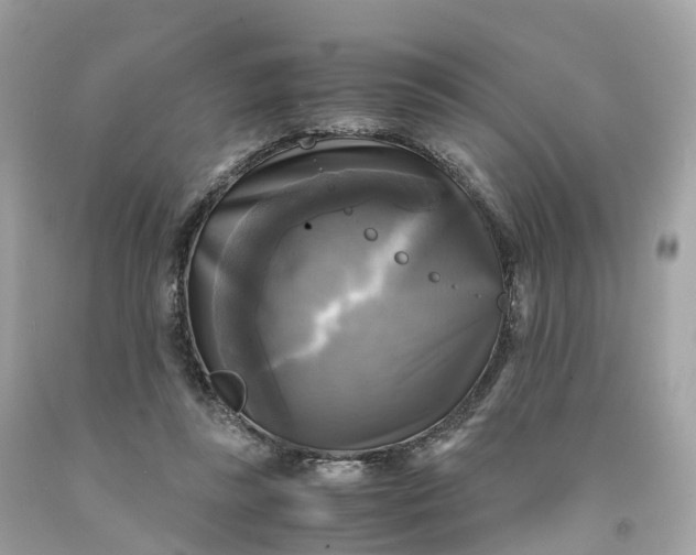 X0000091480355200709061844