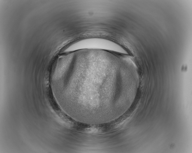 X0000091480356200709061844