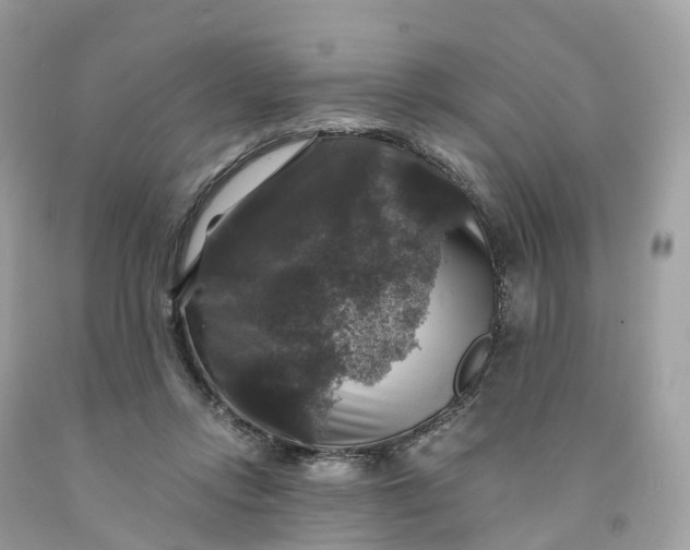 X0000091480358200709061844