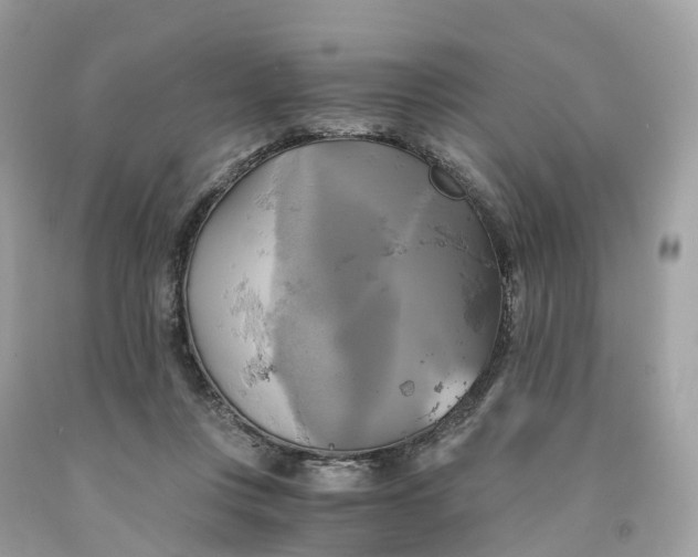 X0000091480359200709061844