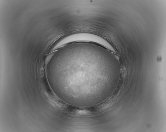 X0000091480360200709061844