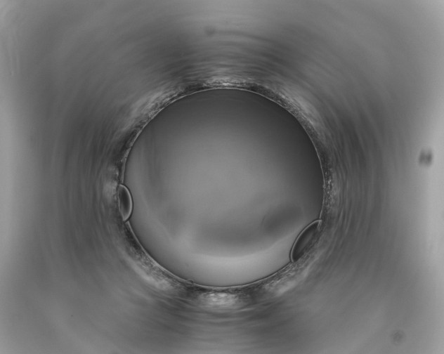 X0000091480361200709061844