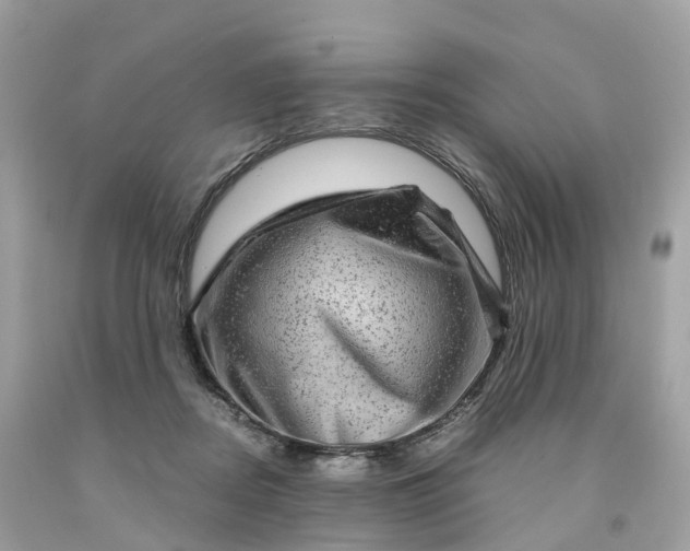 X0000091480362200709061844