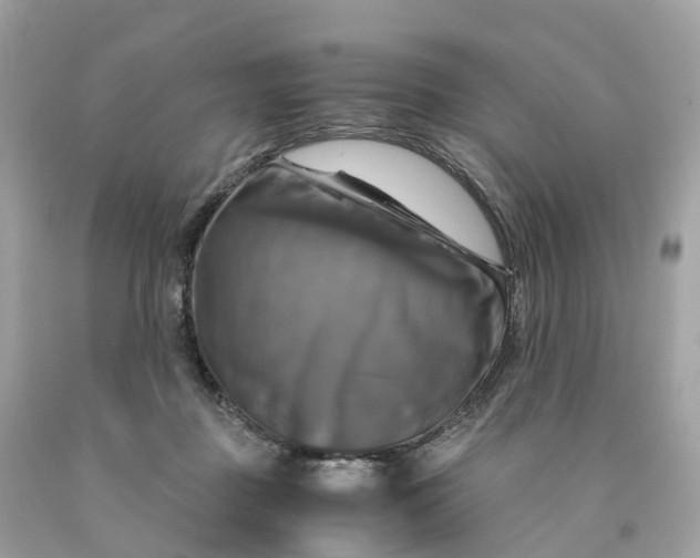 X0000091480363200709061844