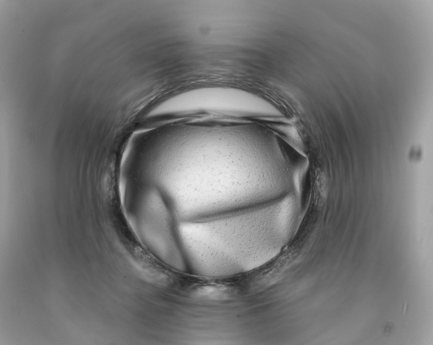 X0000091480364200709061844