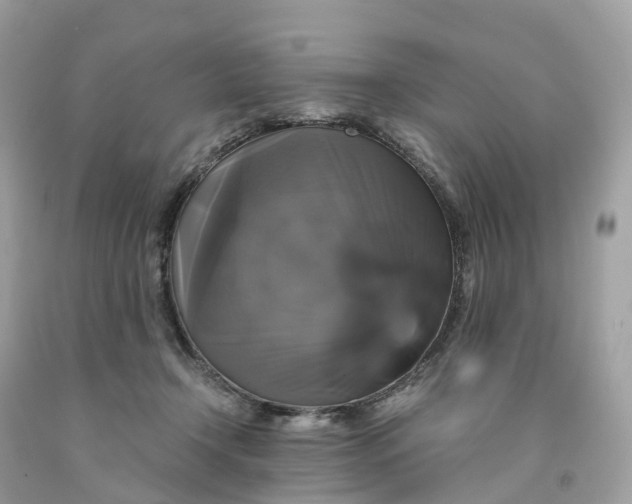 X0000091480366200709061844