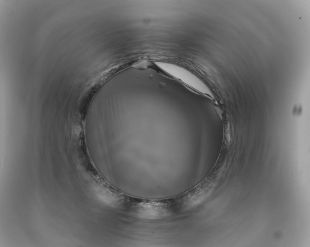 X0000091480367200709061844