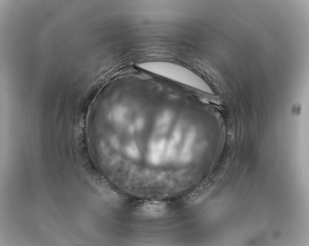 X0000091480369200709061844