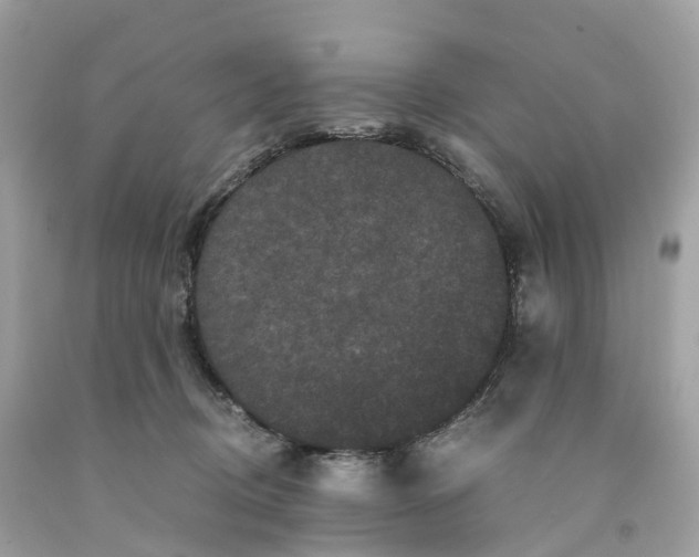 X0000091480370200709061844