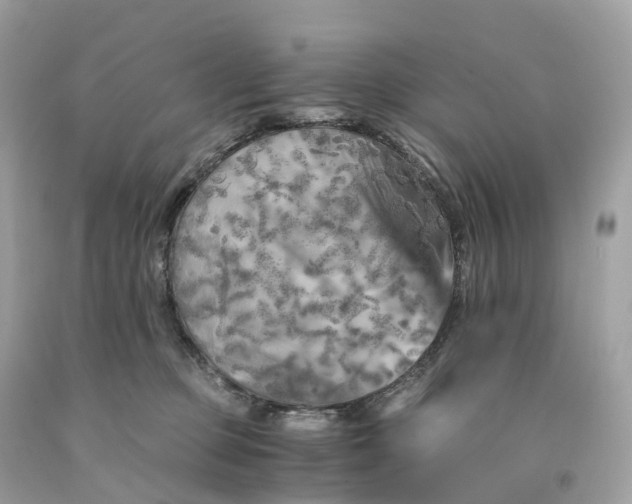 X0000091480373200709061844