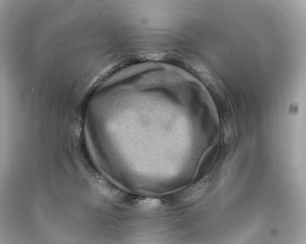 X0000091480374200709061844