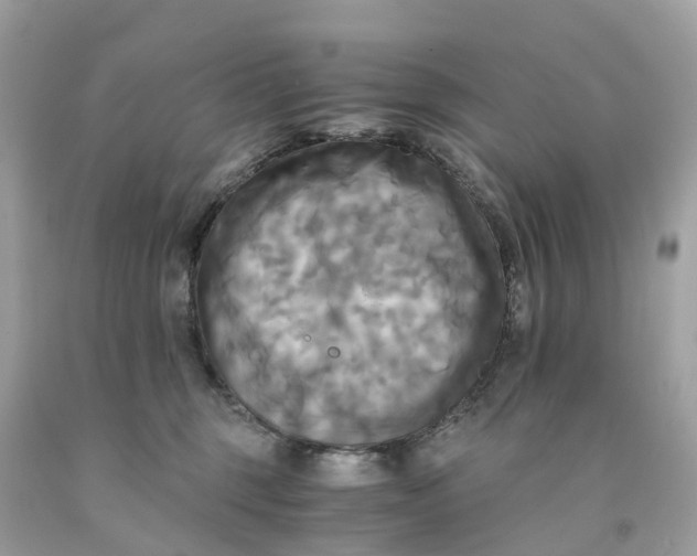 X0000091480375200709061844