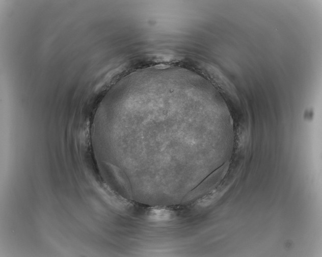 X0000091480376200709061844