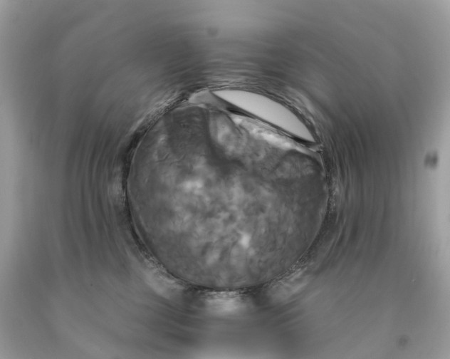 X0000091480377200709061844