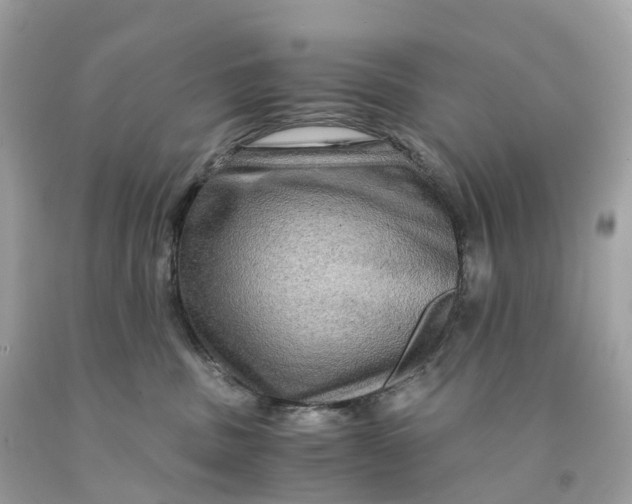 X0000091480379200709061844