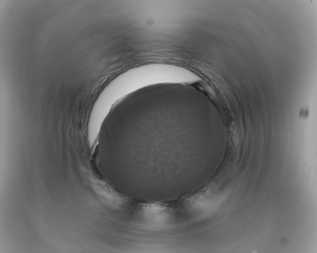 X0000091480380200709061844