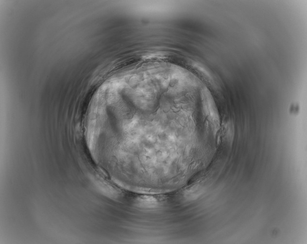 X0000091480381200709061844