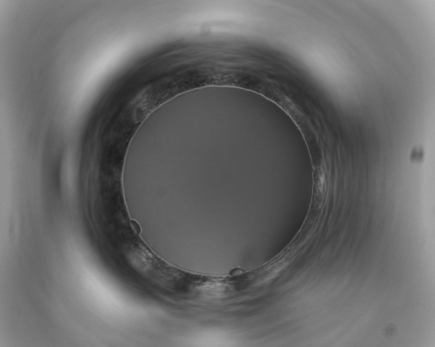 X0000091480383200709061845