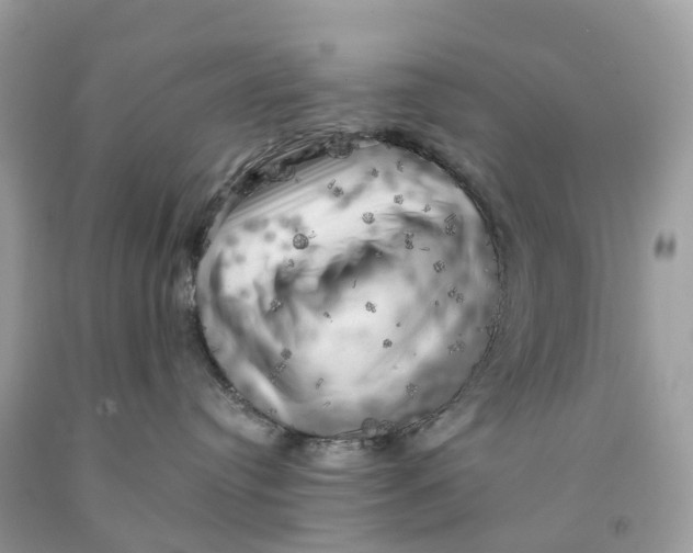 X0000091480384200709061845