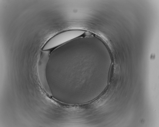 X0000091480385200709061844