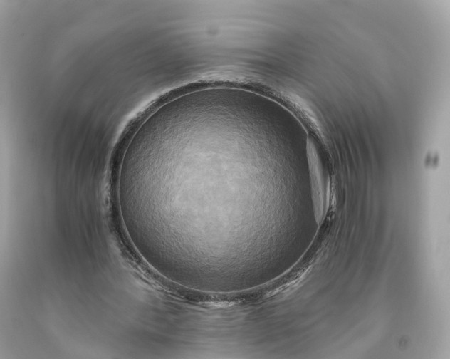 X0000091480388200709061844