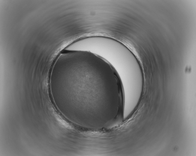 X0000091480389200709061844