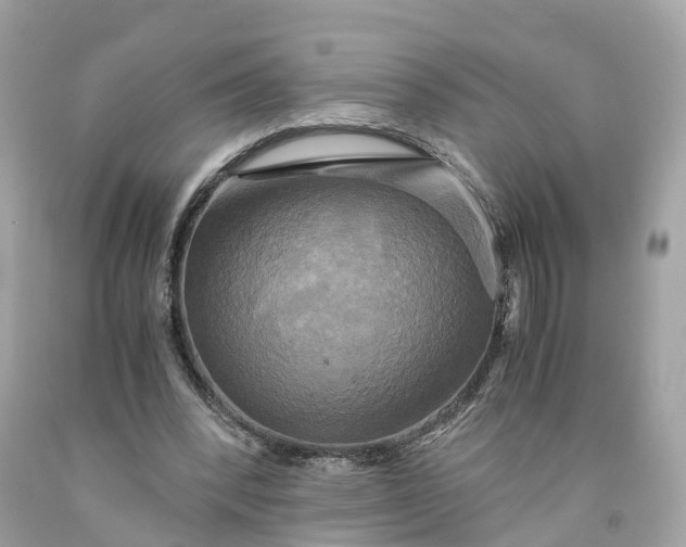 X0000091480392200709061844