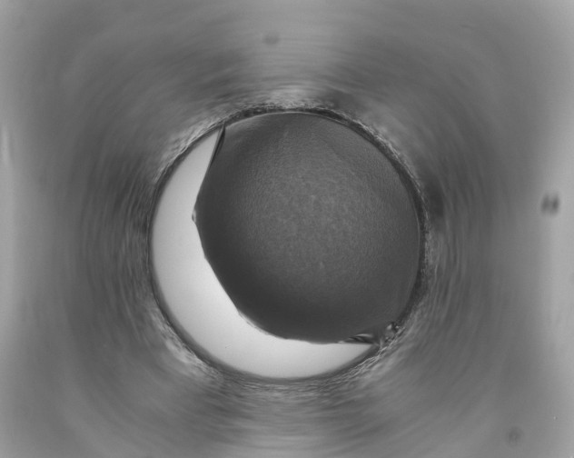 X0000091480393200709061844