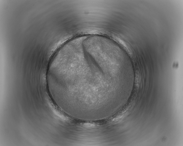 X0000091480394200709061844