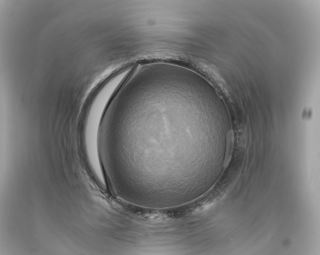 X0000091480395200709061844