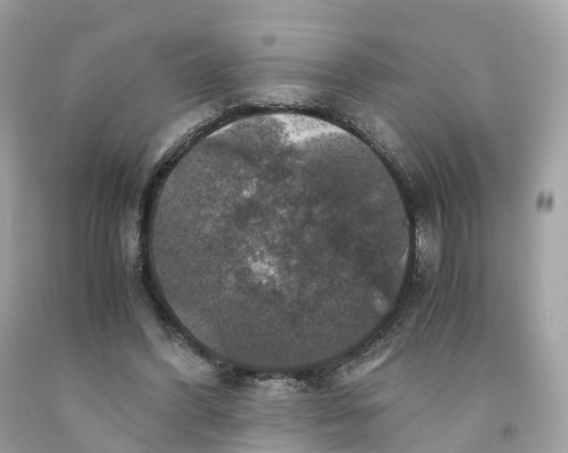 X0000091480396200709061844