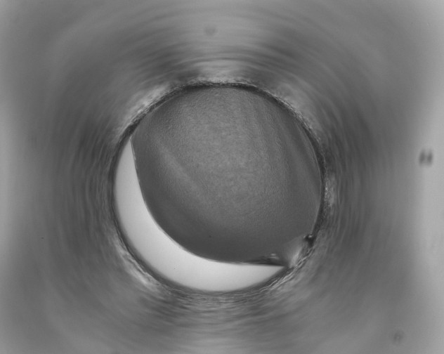 X0000091480397200709061844