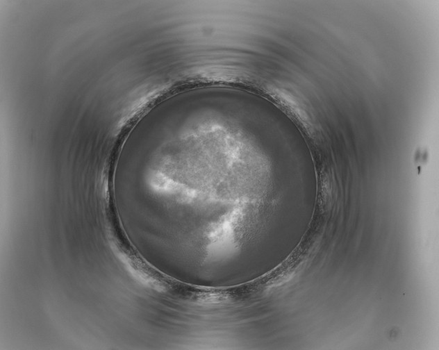 X0000091480398200709061844