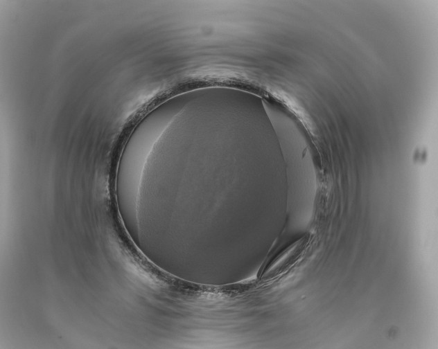 X0000091480399200709061844