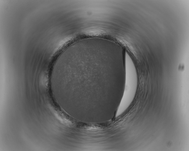 X0000091480400200709061844