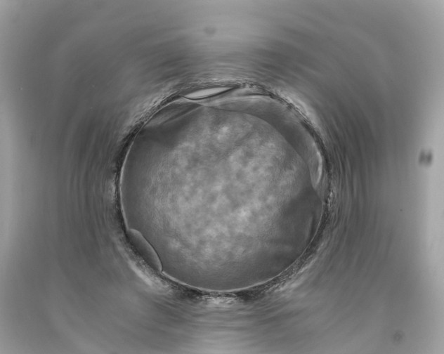 X0000091480401200709061844