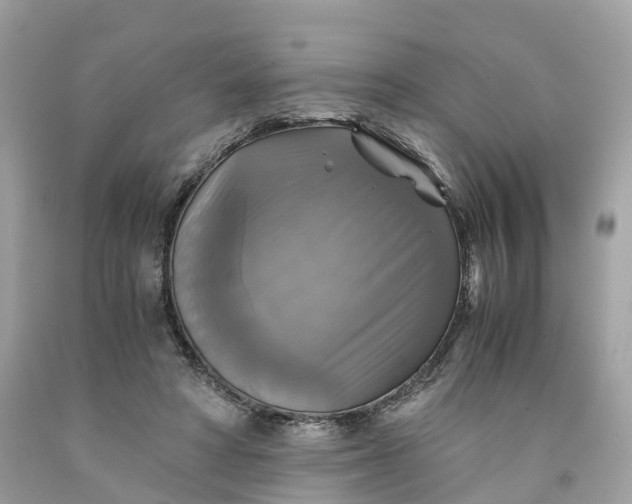 X0000091480402200709061844