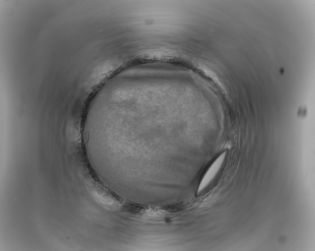 X0000091480403200709061844